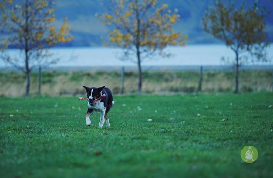 C3D166F8-F218-4381-B35B-1F07B633431D